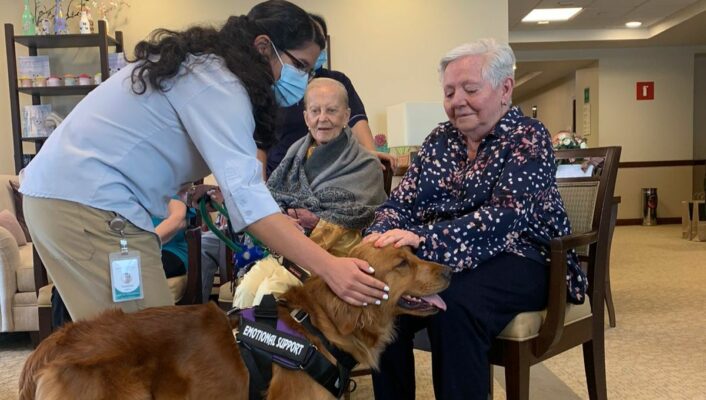 Actividades con perros para el cuidado del Alzheimer